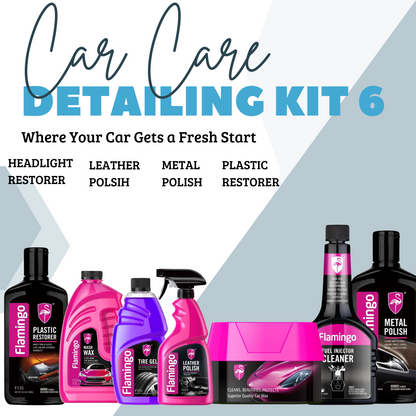 Car Care Detailing Kit 6